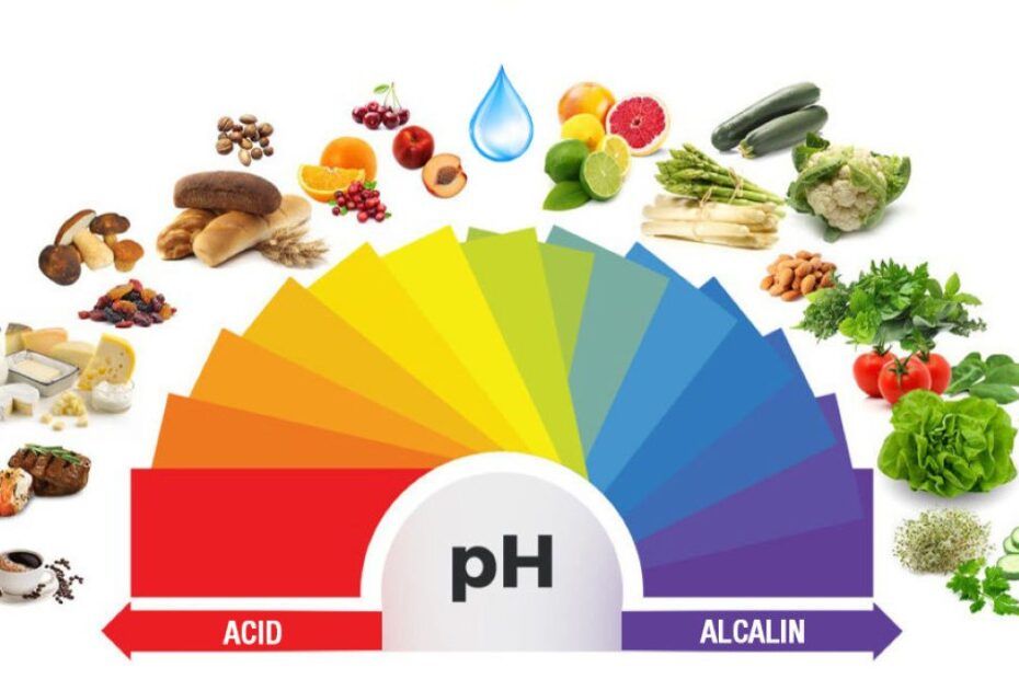 lista alimente alcaline