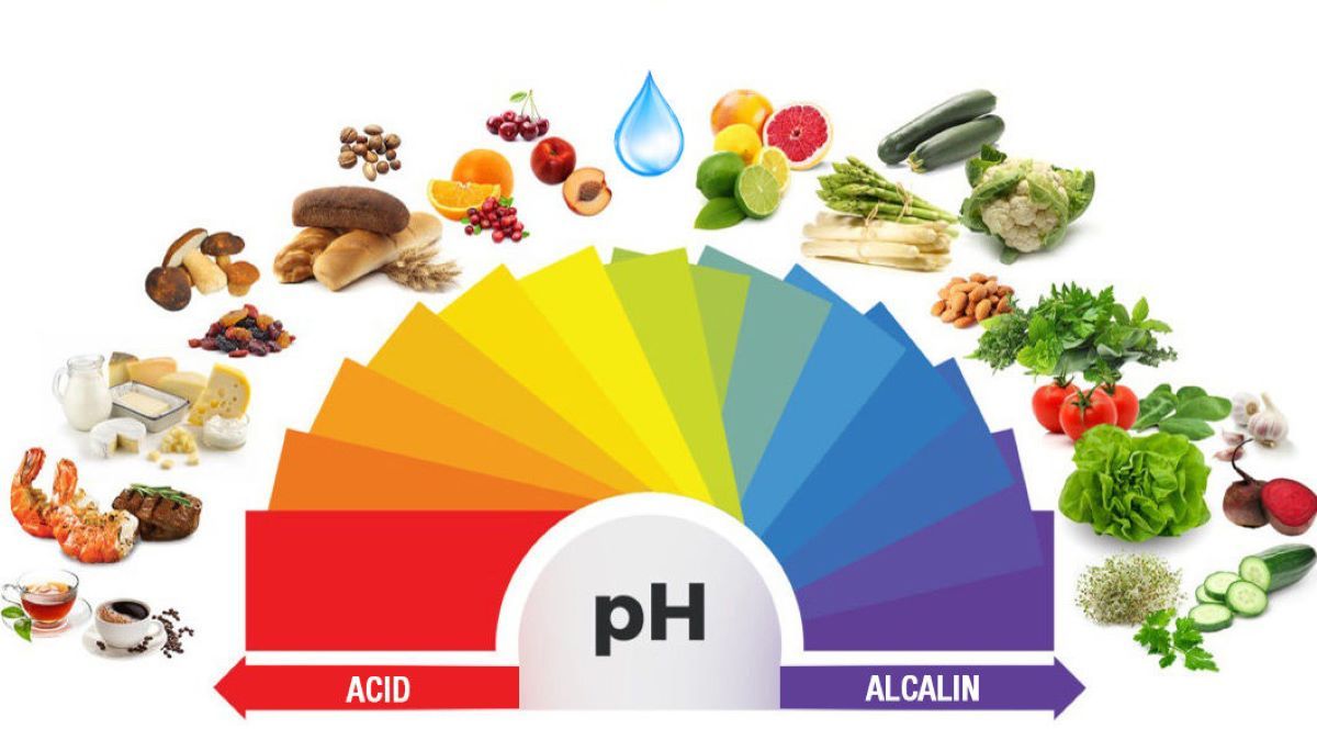 Medic: lista alimentelor alcaline și a celor acide. Alimentele care pregătesc terenul pentru dezvoltarea bolilor