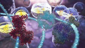 inteligenta artificiala cancer