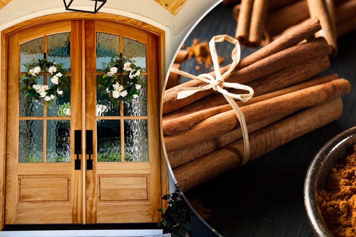 ritual pentru abundență cu scorțisoara