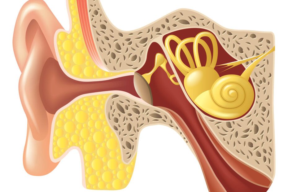Boala Meniere este o tulburare a urechii interne