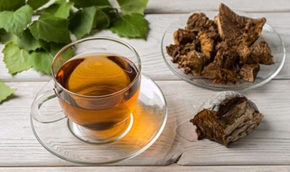 Beneficii pentru sănătate ale ceaiului din ciuperca de mesteacăn Changa