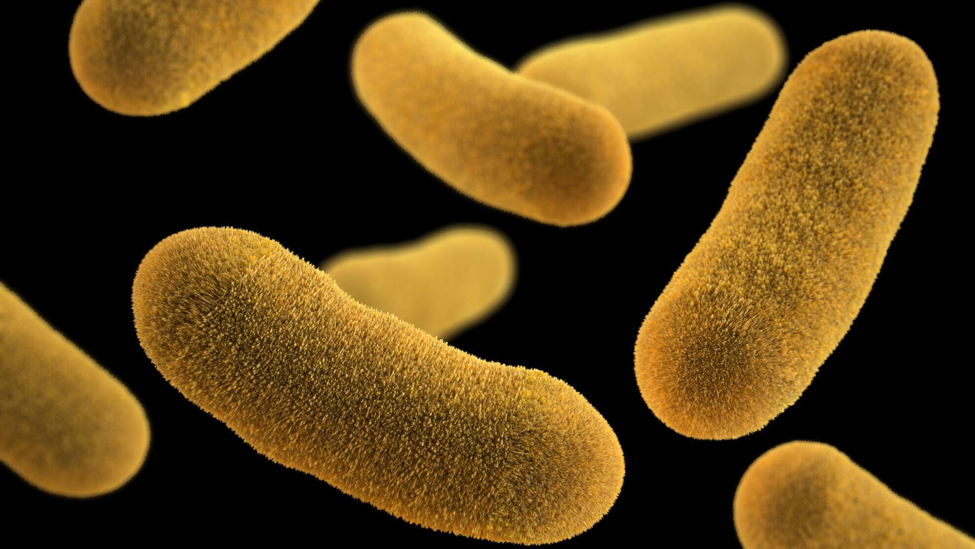 Yersinioza este o infecție bacteriană care afectează stomacul