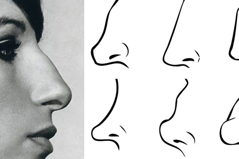 forma nasului