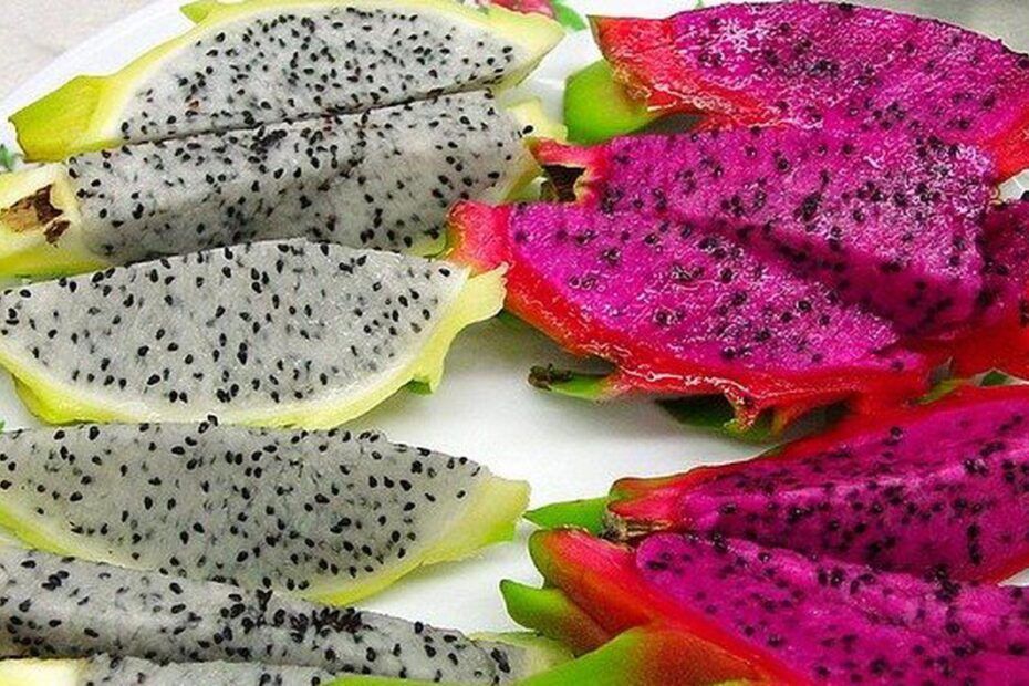 Pitahaya, fructul Dragonului