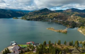 Colibita