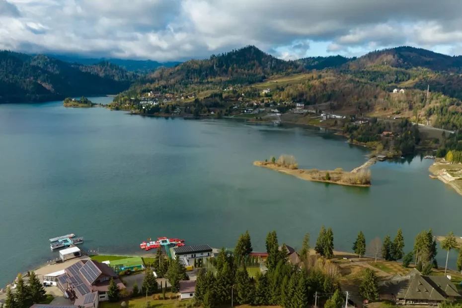 Colibita