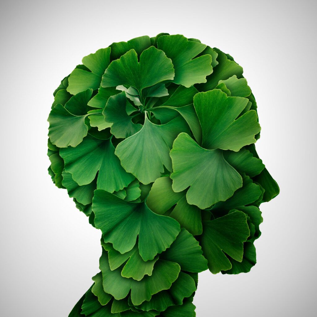 biloba