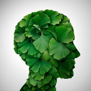 biloba