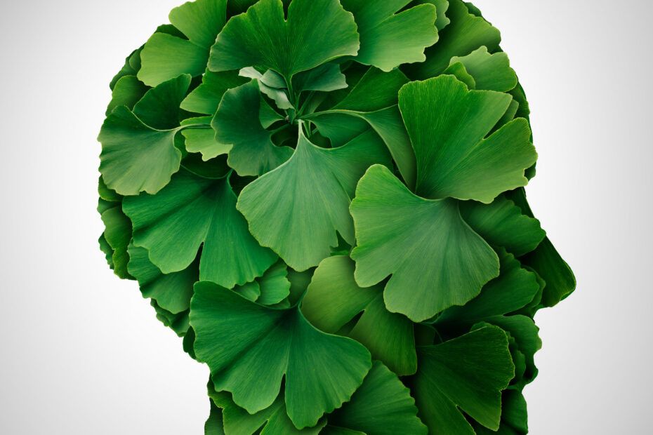 biloba
