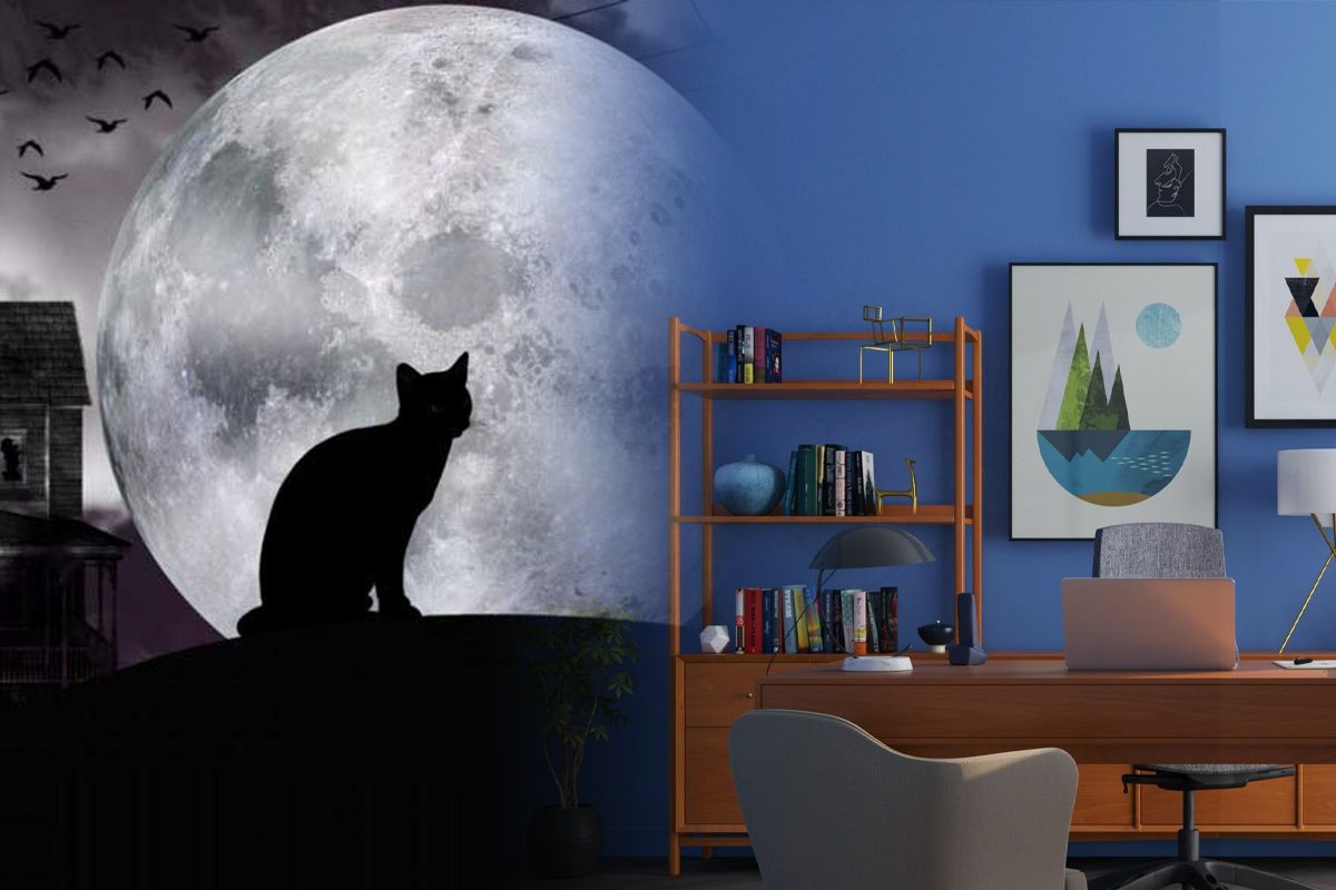 6 obiecte care aduc ghinion în casa ta fără să știi. Scapă de ele înainte să fie prea târziu!