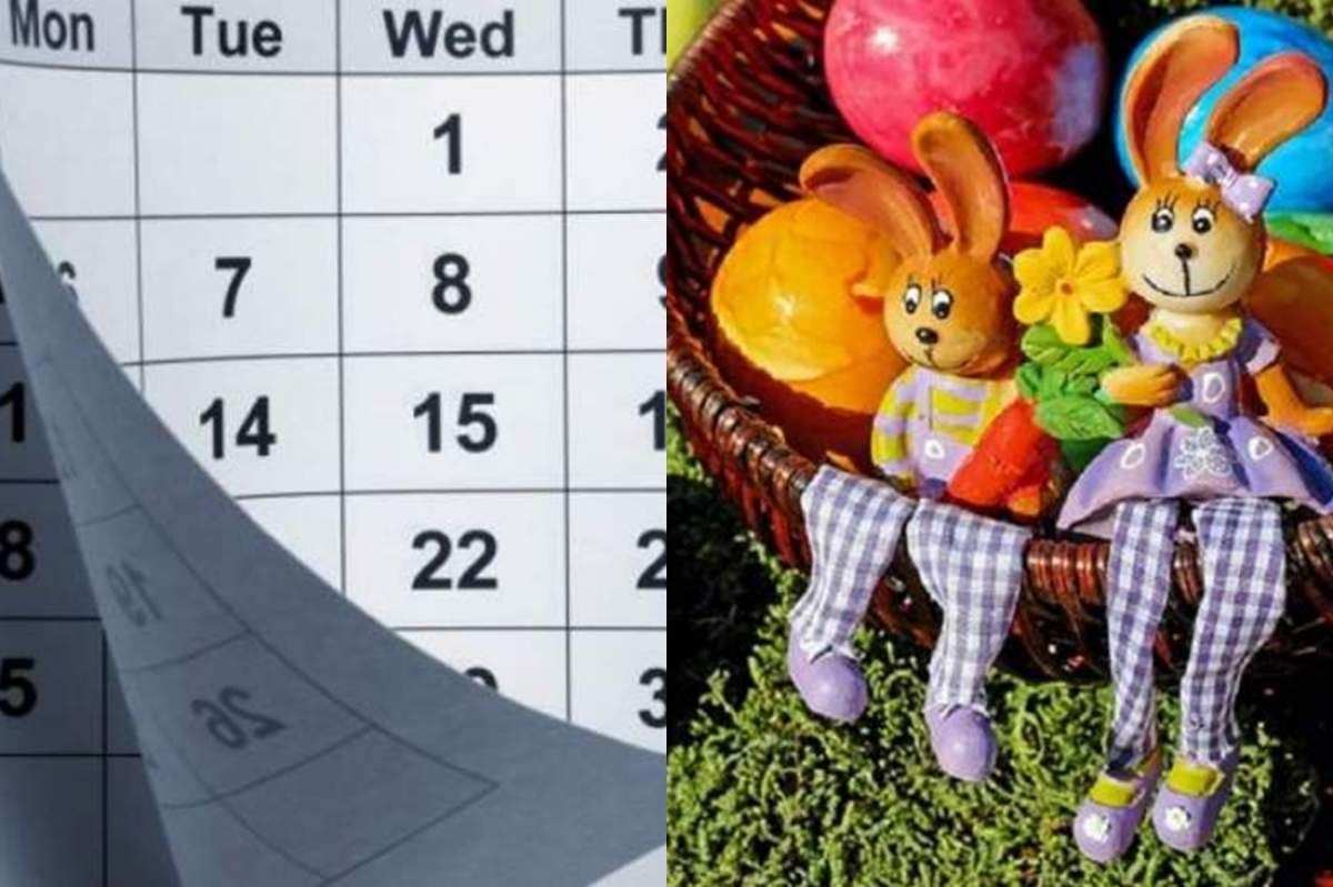 minivacanta de Paste