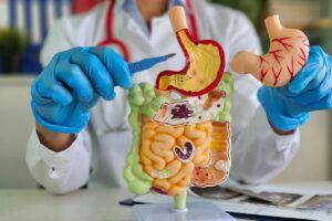 chirurg tine bisturiul deasupra unui model anatomic al stomacului