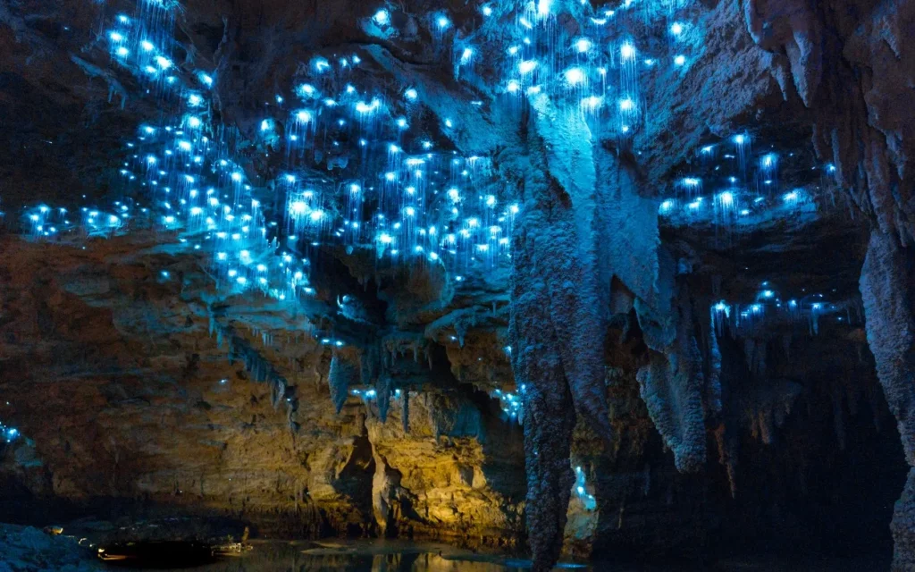 Waitomo, Noua Zeelanda