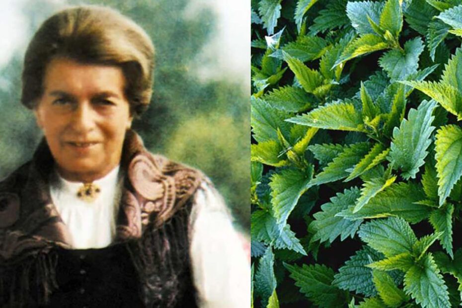 Maria Treben