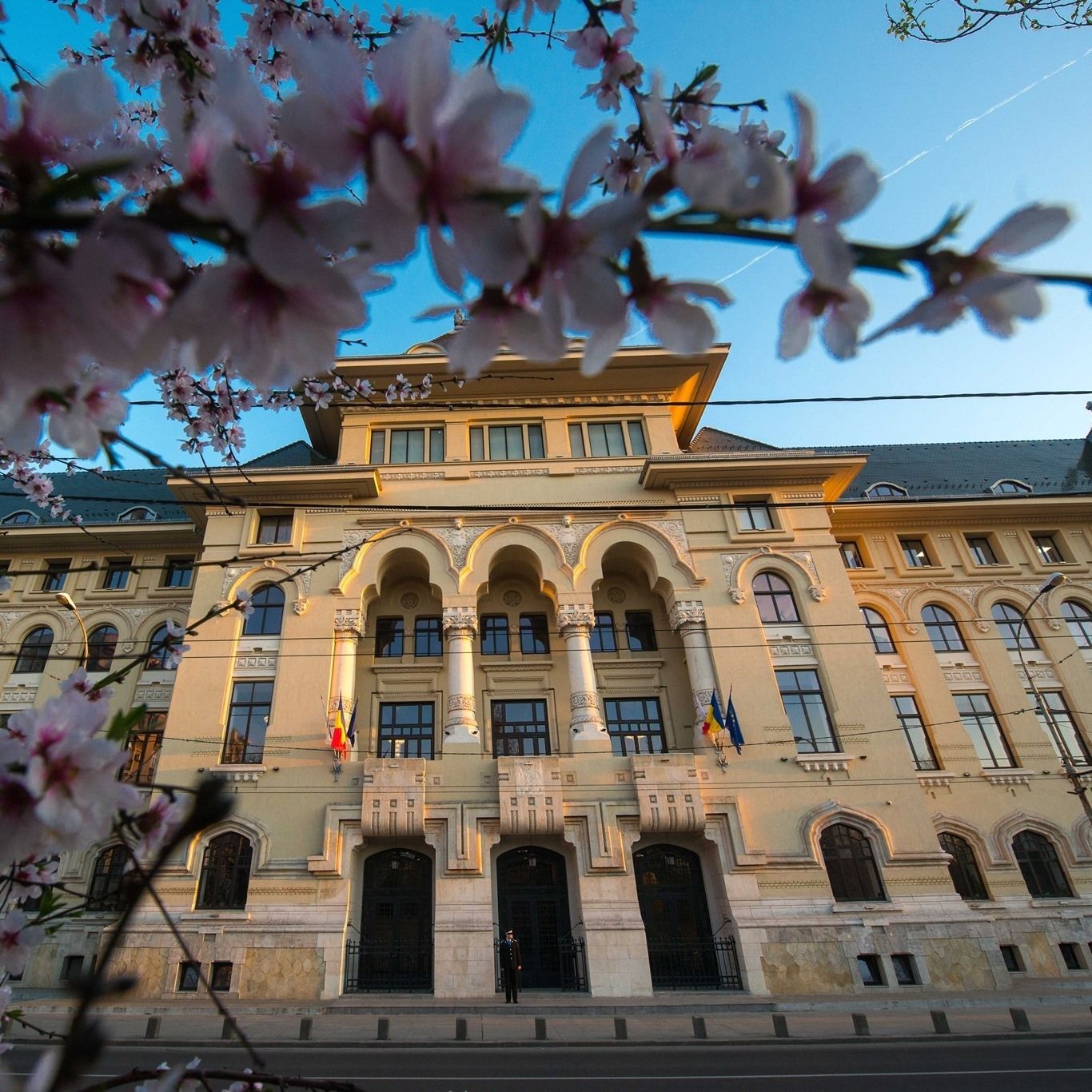primaria capitalei