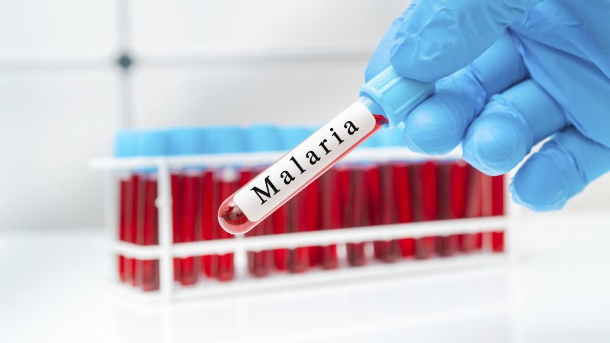 Malaria poate fi înfrântă! OMS confirmăt: Această tara are zero cazuri de malaria