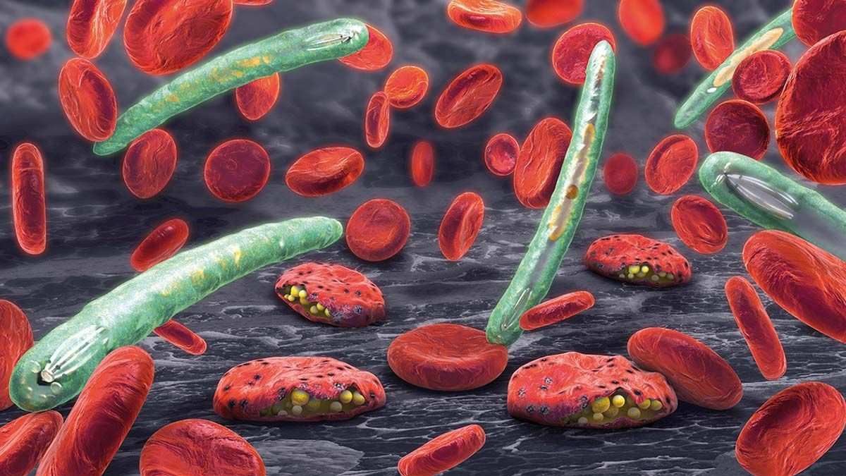 Alertă de malarie în România. 10 semne de alarmă care trebuie să te trimită de urgență la spital