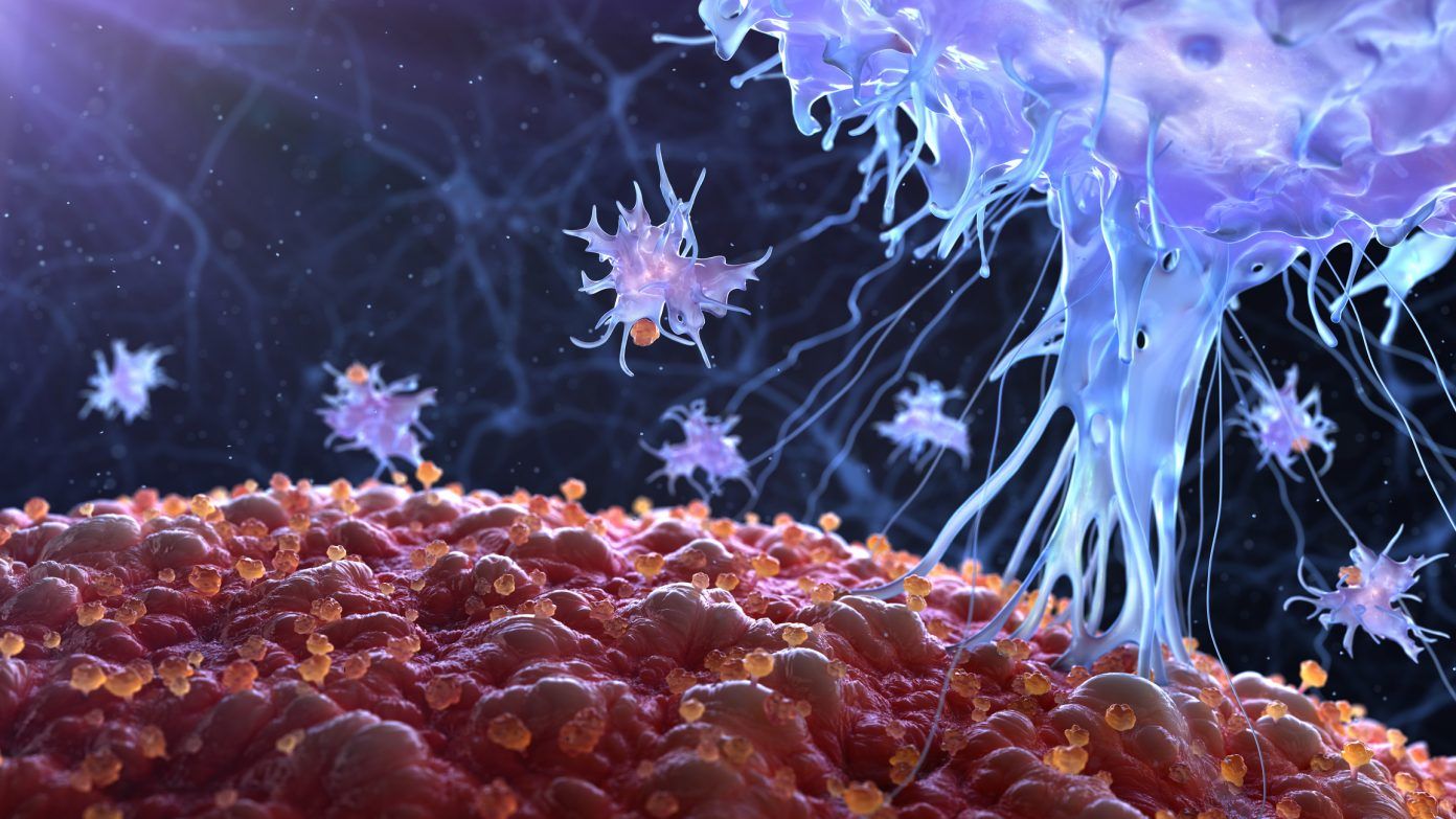 virus