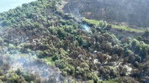 INCENDIU DELTA DUNARII