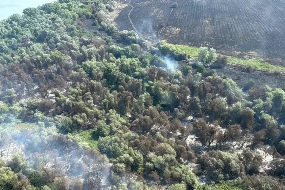 INCENDIU DELTA DUNARII