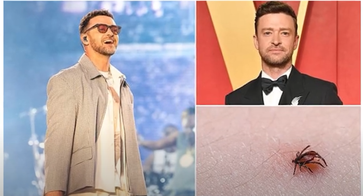 Justin Timberlake, diagnosticat cu boala Lyme: „Pe scenă simțeam dureri atroce și oboseală. Interpretarea unei piese a devenit o luptă”