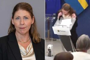 Ministra Sanatatii din Suedia