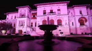 Palatul Cotroceni iluminat în roz