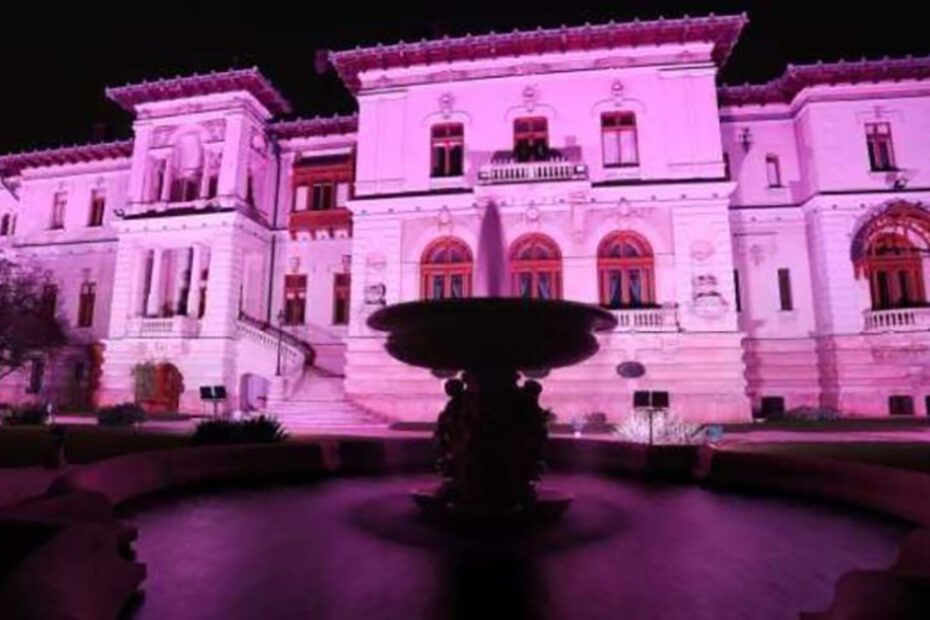Palatul Cotroceni iluminat în roz