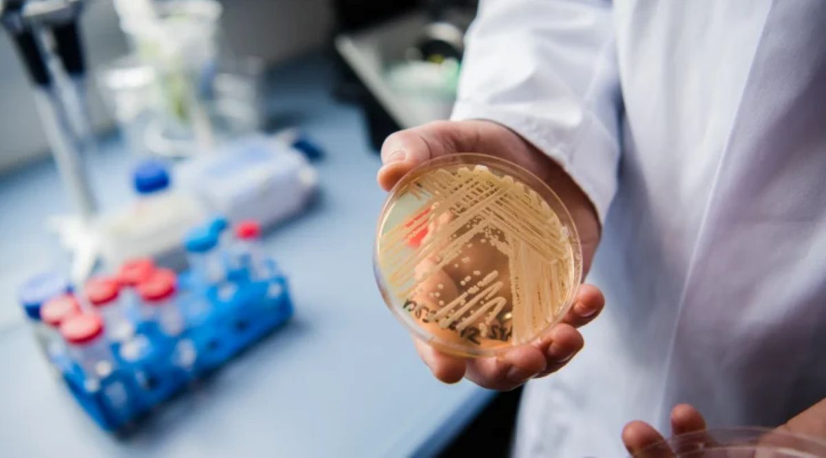 Un tip de Candida care ucide până la 60% dintre pacienți se răspândește rapid. „Se comportă ca un cancer”