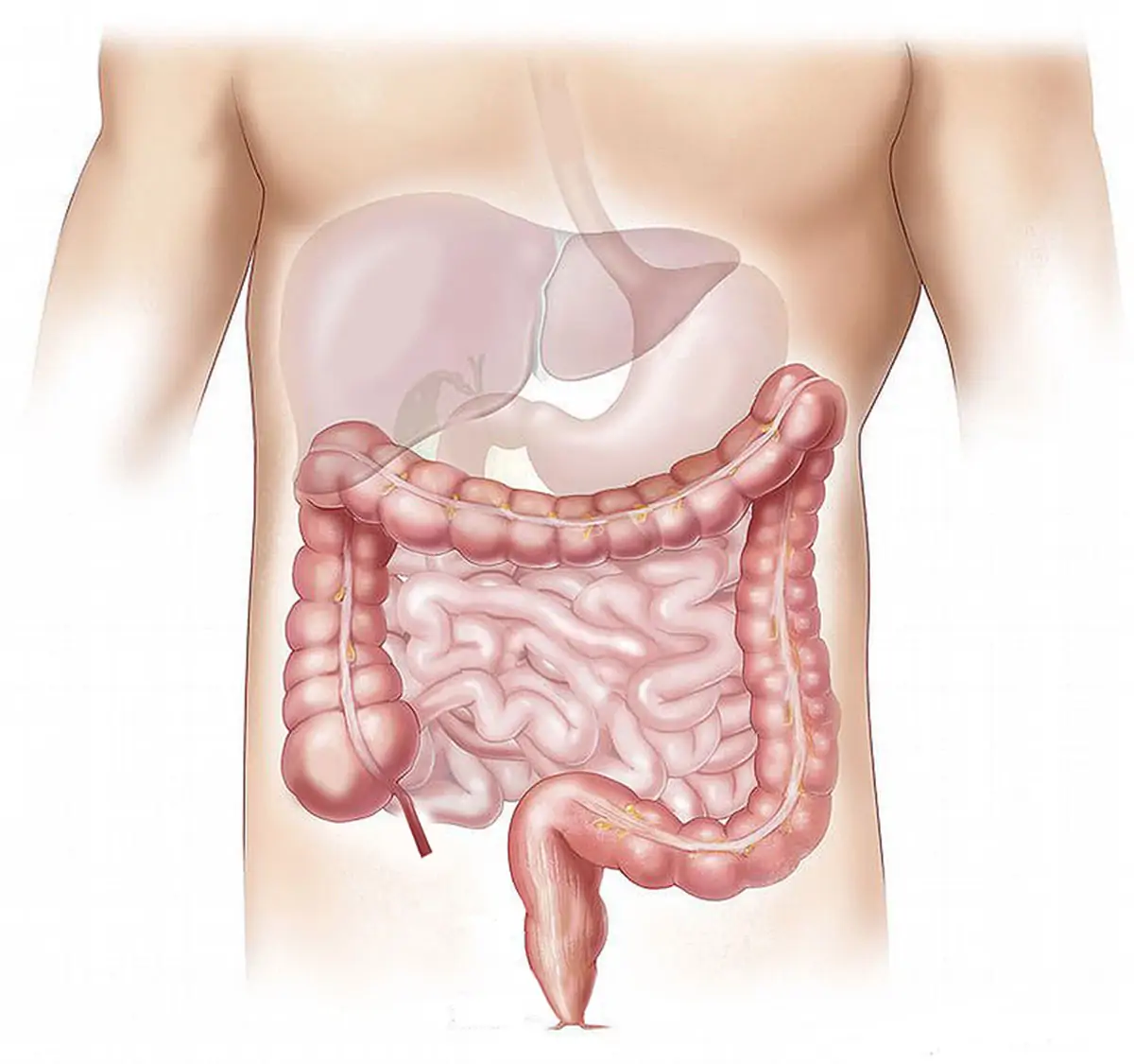 Cancerul de col uterin. Simptome
