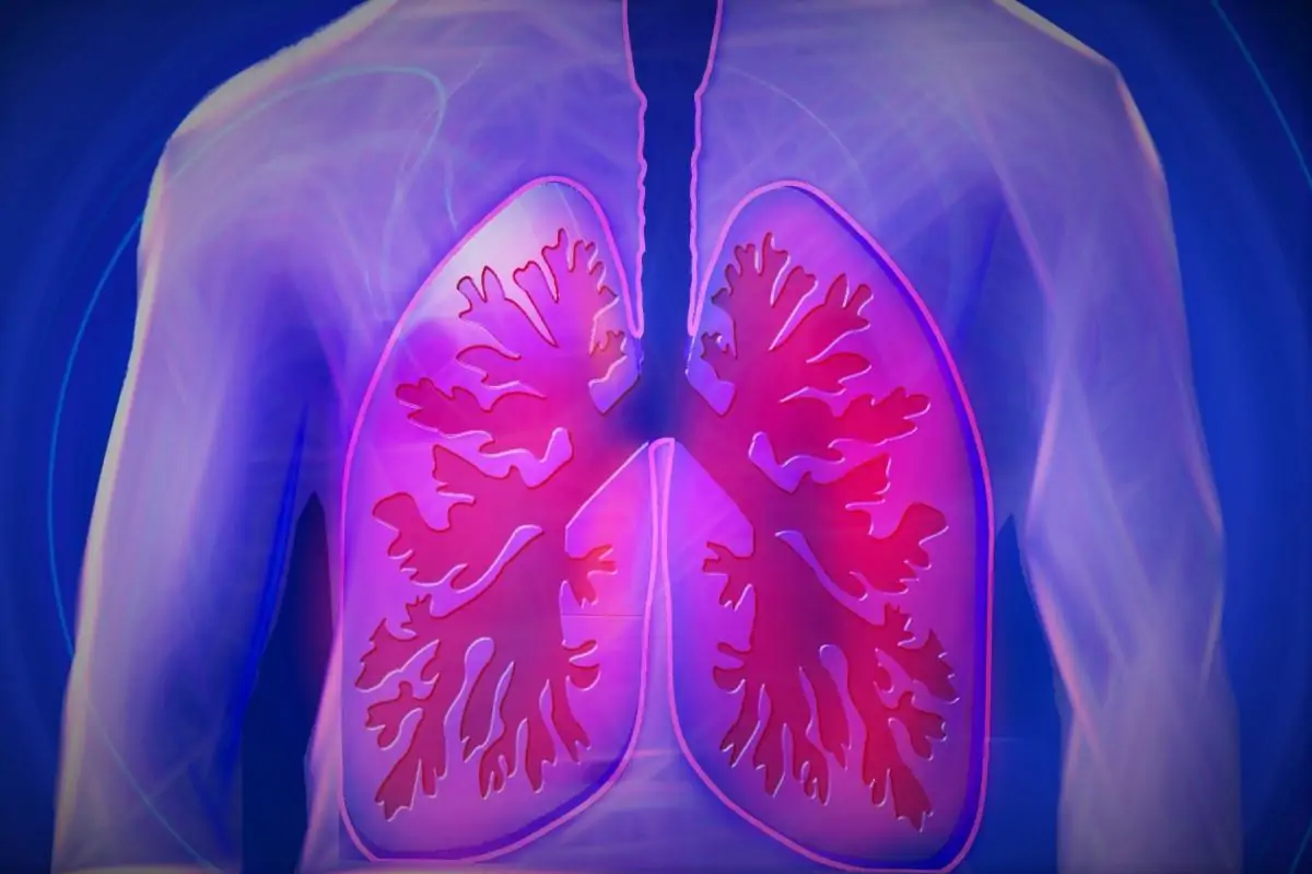 Cum curățați plămânii de fumat în mod natural
