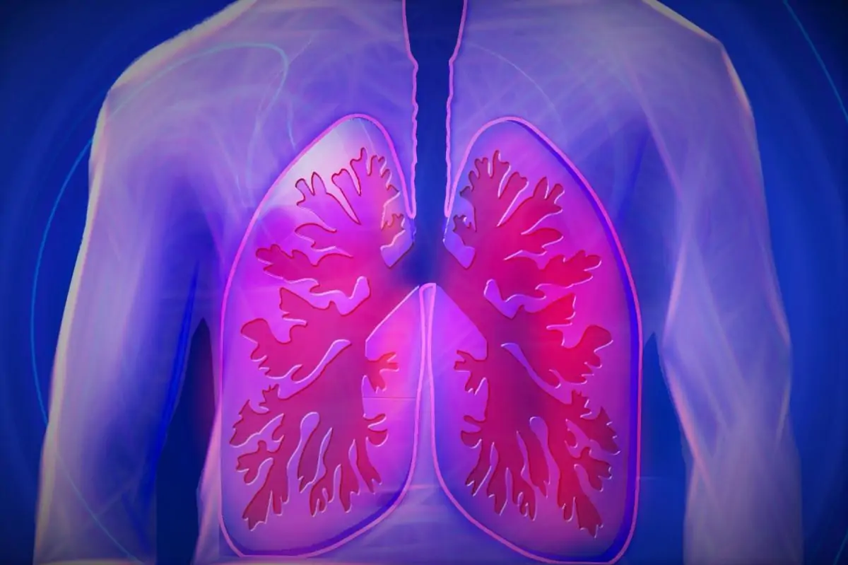 detoxifiere plamani fumatori