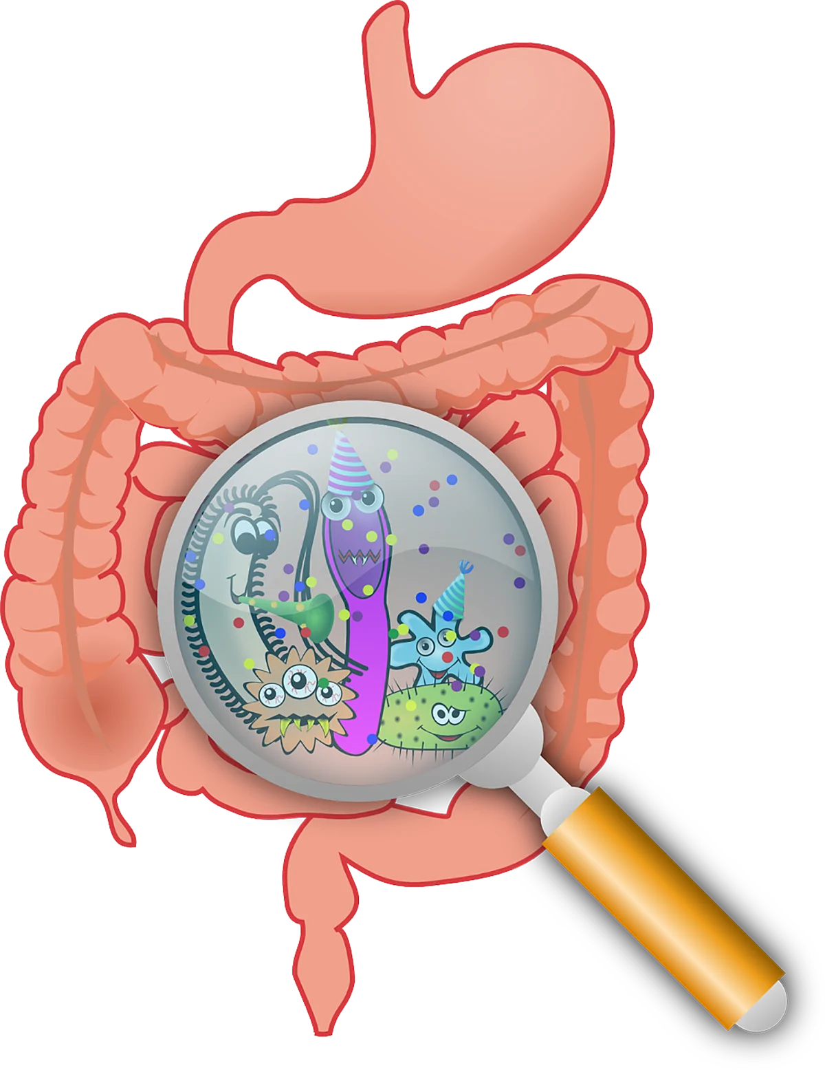 cum să obțineți bacterii intestinale de slăbire